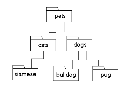 Directory Structure Example